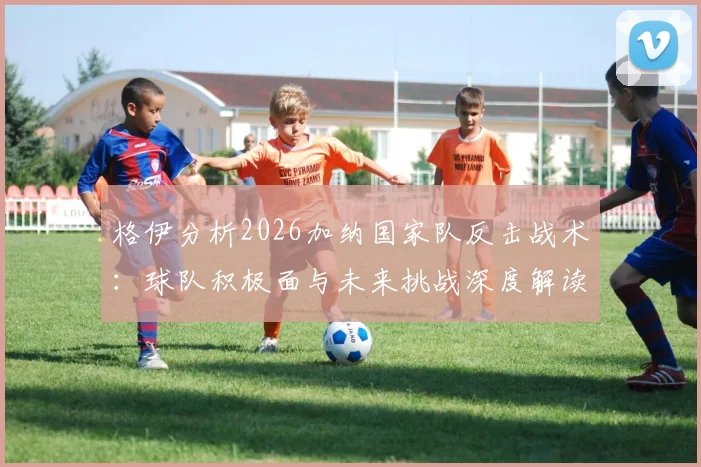格伊分析2026加纳国家队反击战术：球队积极面与未来挑战深度解读