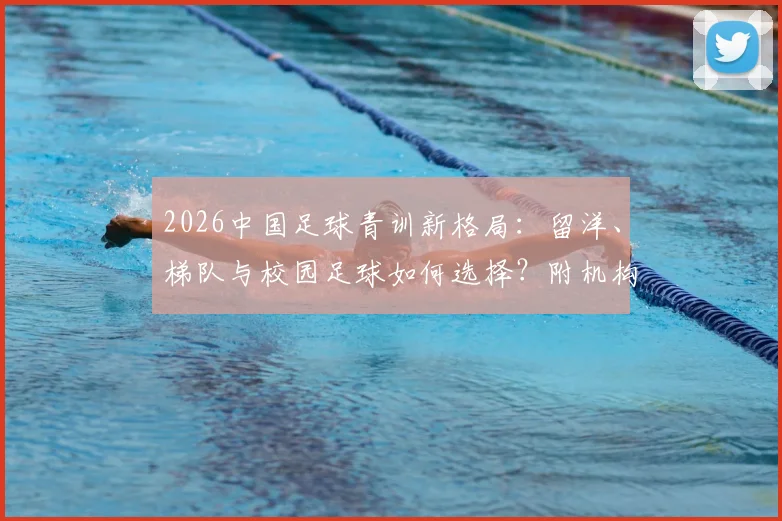 2026中国足球青训新格局：留洋、梯队与校园足球如何选择？附机构费用与选拔途径详解