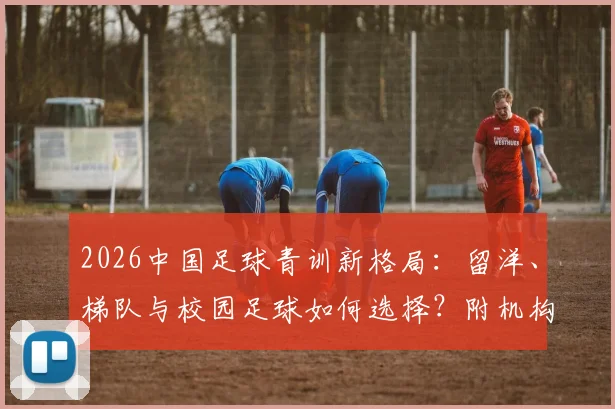 2026中国足球青训新格局:留洋、梯队与校园足球如何选择?附机构费用与选拔途径详解